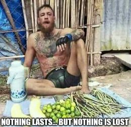 Nothing is lost memes
