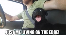 Living on the edge memes