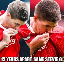 Stevie memes